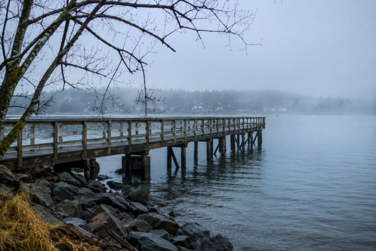 Píer de madeira em uma manhã fria e nublada de inverno no Puget Sound, com água calma, árvores sem folhas e neblina cobrindo a paisagem costeira.