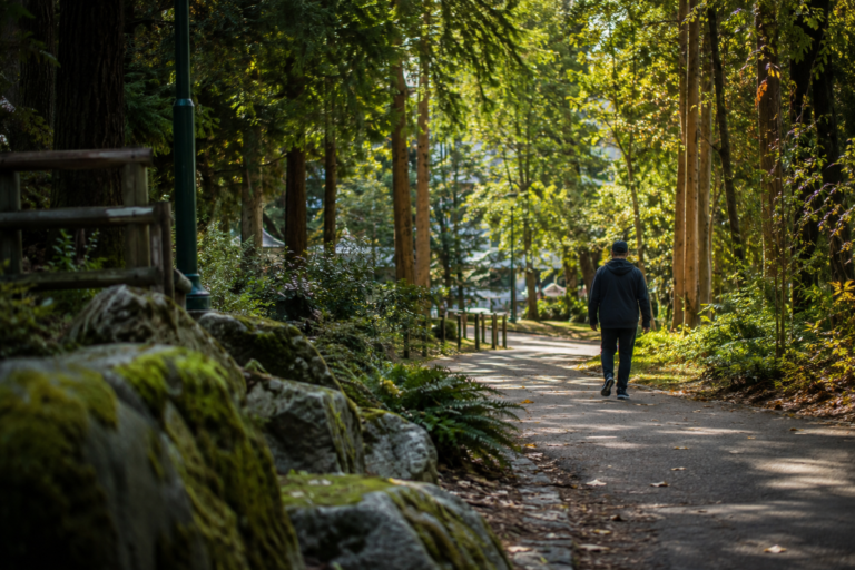 Tree-lined pedestrian path in Mountlake Terrace with mature evergreens, natural landscaping and a resident walking through a quiet residential park, reflecting the city's suburban character and abundant green spaces.