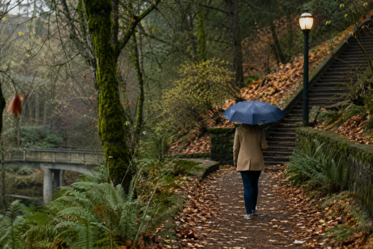 Pessoa caminhando com guarda-chuva por uma trilha arborizada e úmida em um dia chuvoso no estado de Washington.