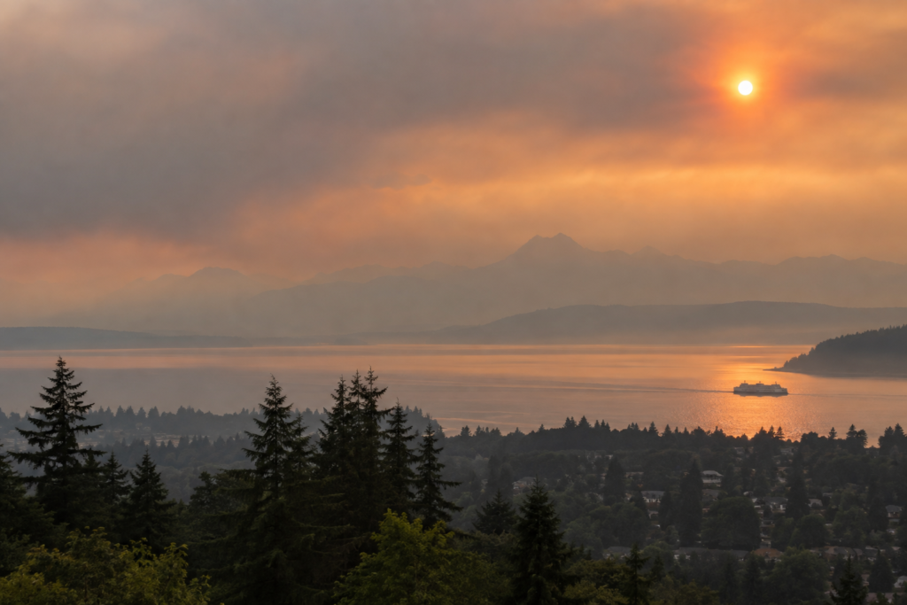 Imagem ilustrativa relacionada à vida e ao ambiente da região do Puget Sound.