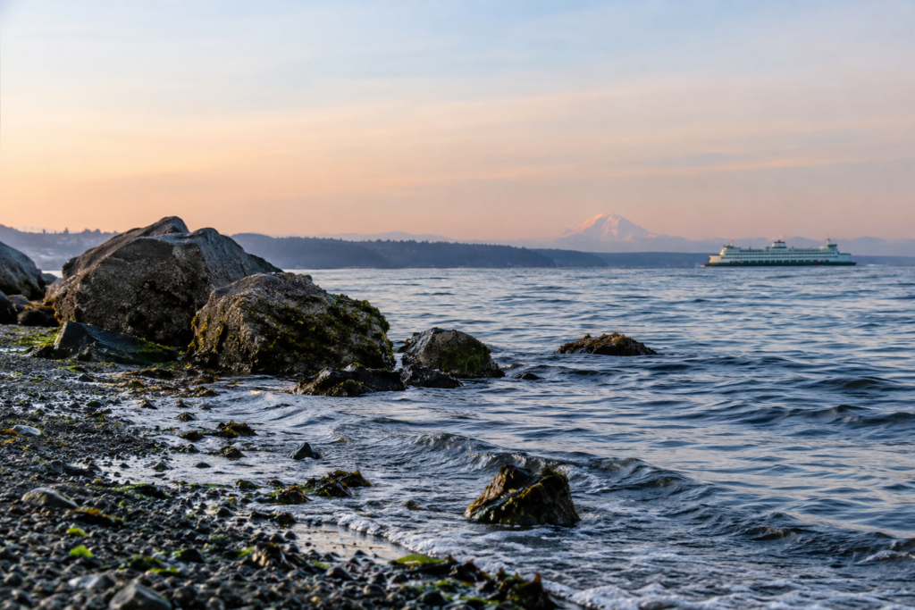 Imagem ilustrativa relacionada à vida e ao ambiente da região do Puget Sound.