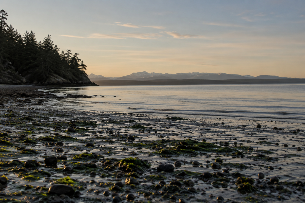 Imagem ilustrativa relacionada à vida e ao ambiente da região do Puget Sound.
